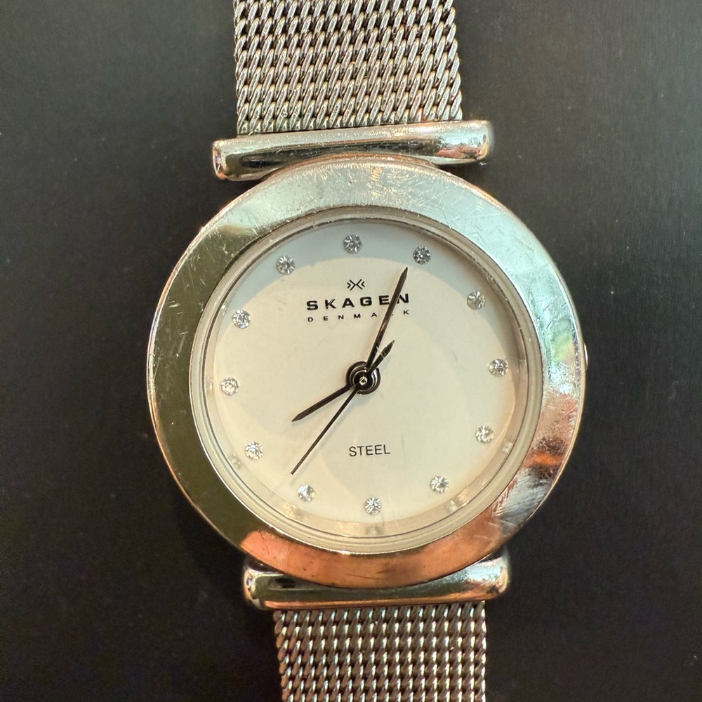 Skagen Steel Mesh Watch with White Dial
